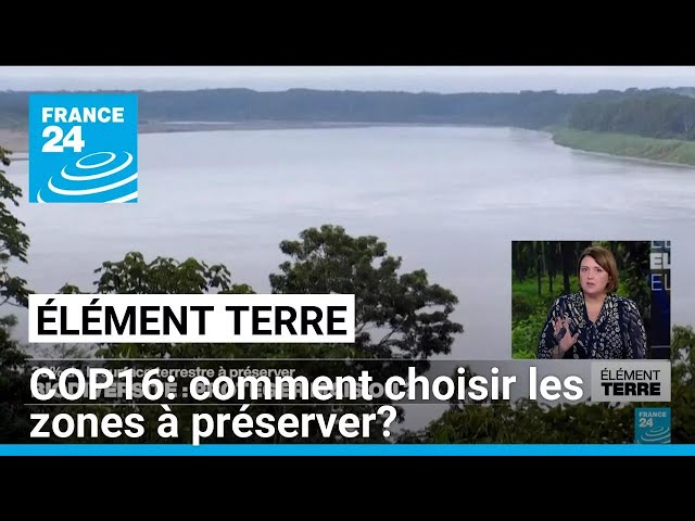 ⁣COP16: Préserver 30% des terres et des mers mais où? • FRANCE 24