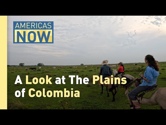 ⁣Colombia Hosts COP16: Protecting Biodiversity in Fragile Ecosystems