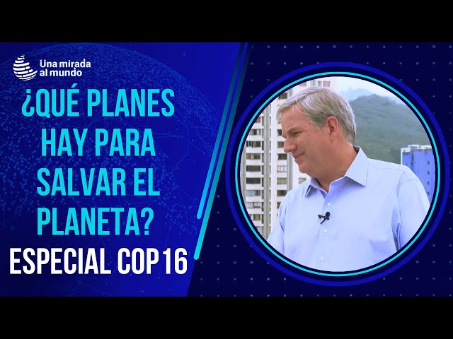 ⁣¿Qué planes estratégicos hay para cuidar el medio ambiente?