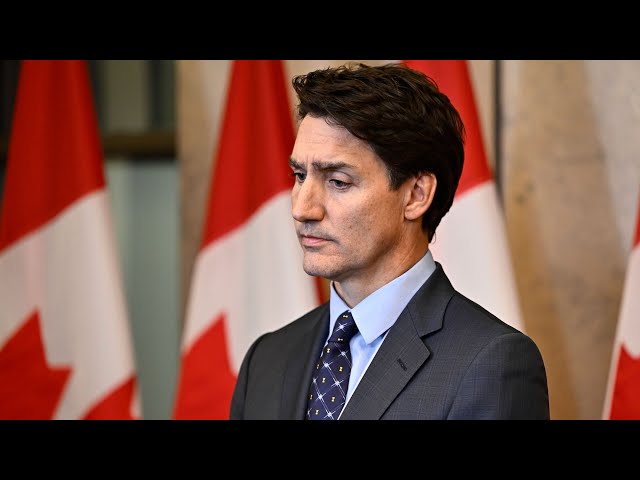 ⁣Will Trudeau's immigration cuts address the issues plaguing the system?