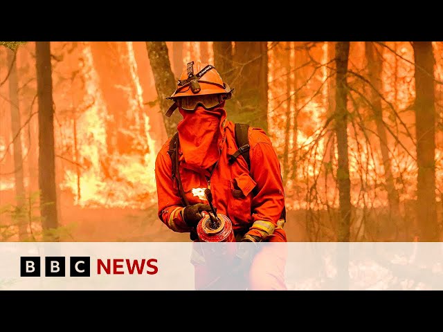 ⁣Is the UN warning of 3.1C global warming a surprise? | BBC News