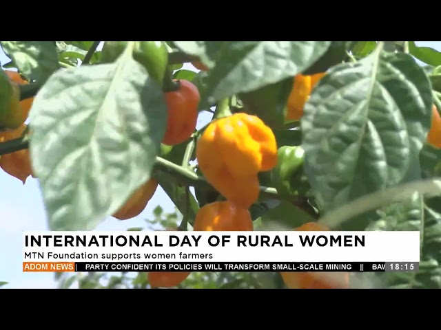 ⁣International Day Of Rural Women: MTN Foundation supports women farmers - Adom TV Evening News