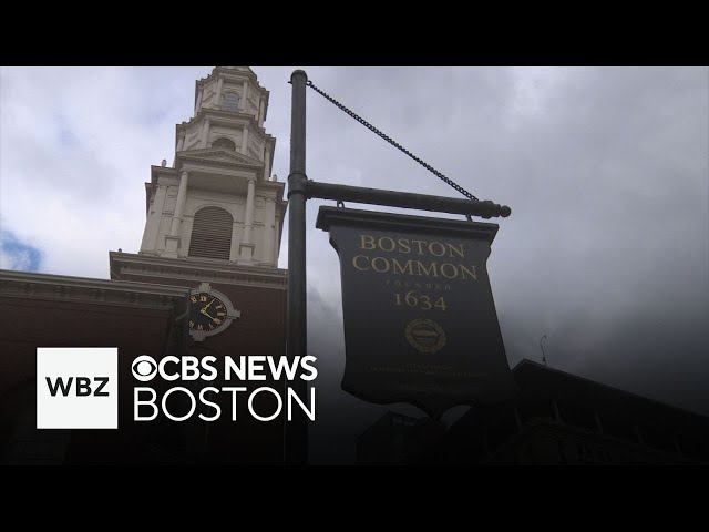 ⁣Boston city councilor calls for public safety hearing on violence at Boston Common