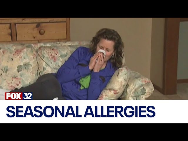 ⁣Chicago doctor talks fall allergies, everything you need to know