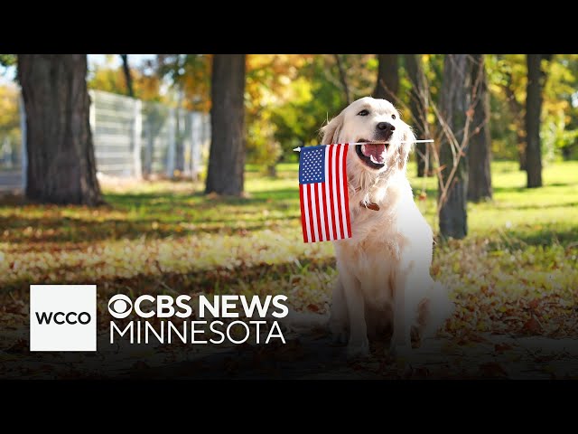 ⁣Minnesota Boy Scout raises money for dog park in Montevideo