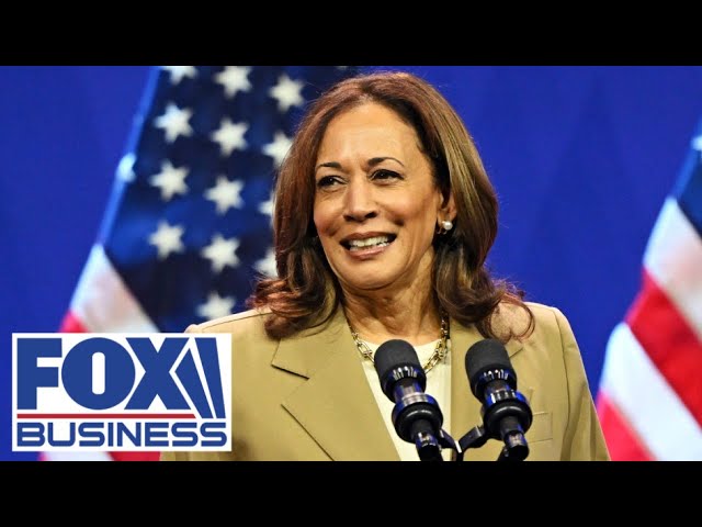 ⁣Democrats are throwing out this Hail Mary to save Kamala Harris' campaign, panelist warns