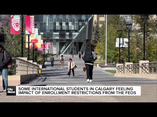 ⁣Some international students feeling impact of enrollment restrictions from the feds