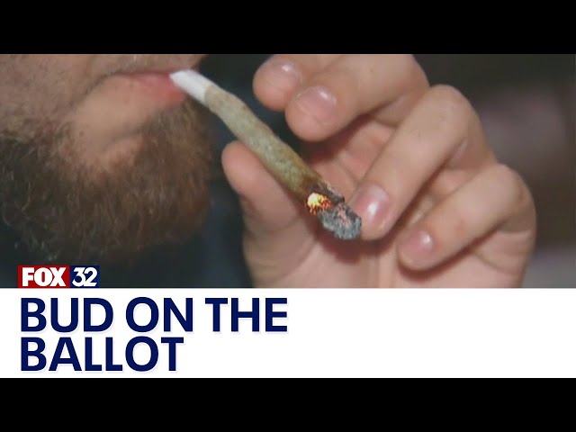 ⁣Bud on the ballot: Voters in several states to decide whether to legalize marijuana