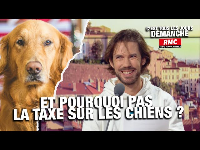 ⁣Arnaud Demanche: et pourquoi pas la taxe sur les chiens?