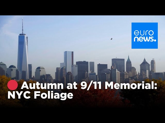 ⁣ LIVE: Autumn foliage at 9/11 Memorial in New York | euronews 