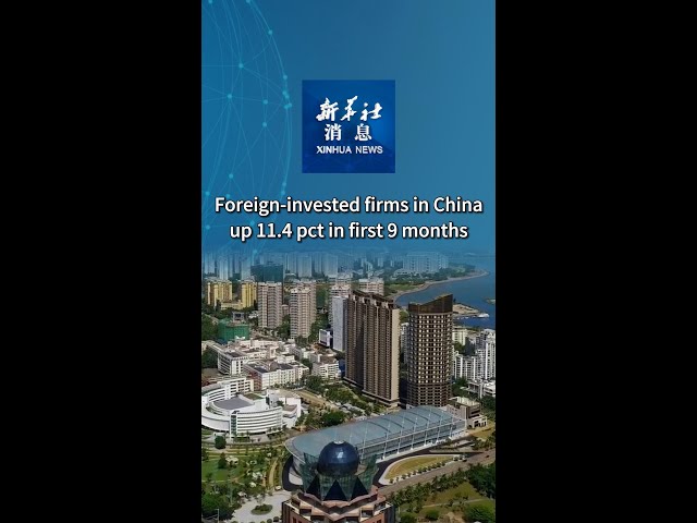 ⁣Xinhua News | Foreign-invested firms in China up 11.4 pct in first 9 months