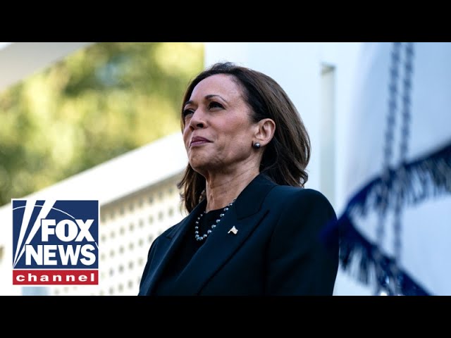 ⁣Harris campaign's latest 'desperation ploy' in final days of election