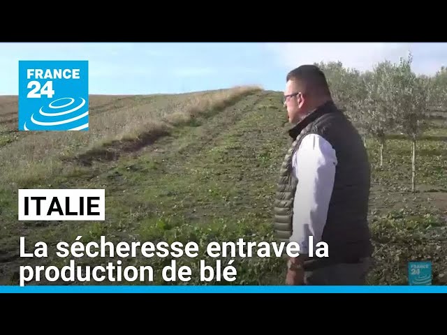 ⁣Italie : la sécheresse entrave la production de blé • FRANCE 24