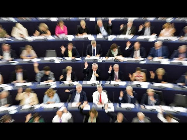 ⁣Combien d'argent le Parlement européen a-t-il alloué aux groupes politiques ?