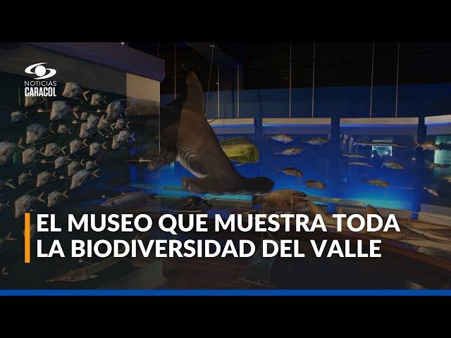 ⁣Renuevan Museo de Ciencias Naturales del Valle del Cauca: ¿qué especies se pueden encontrar?