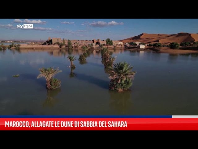 ⁣Marocco, pioggia allaga le dune di sabbia del Sahara