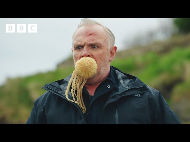 ⁣Jellyfish sting on the mouth takes a turn for the worse  - BBC