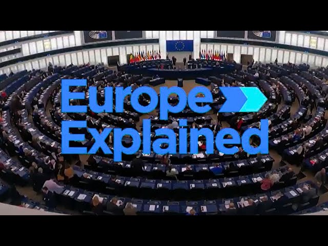 ⁣¿Cuánto dinero ha asignado el Parlamento Europeo a los grupos políticos?