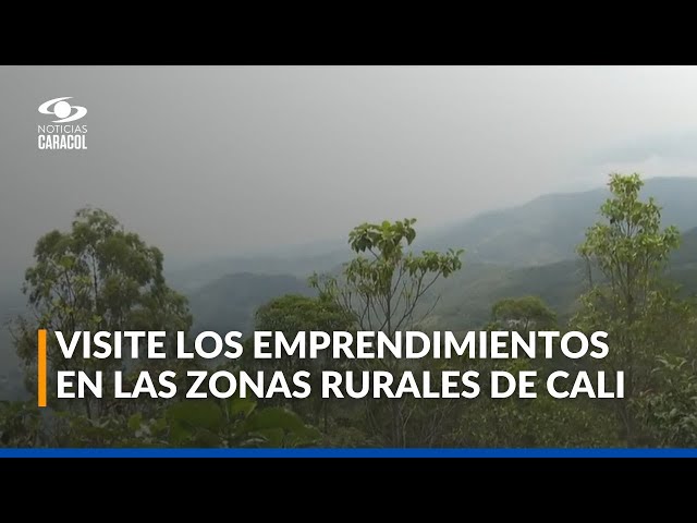 ⁣COP16: Cali le apuesta a los emprendimientos sostenibles en zonas rurales de la ciudad