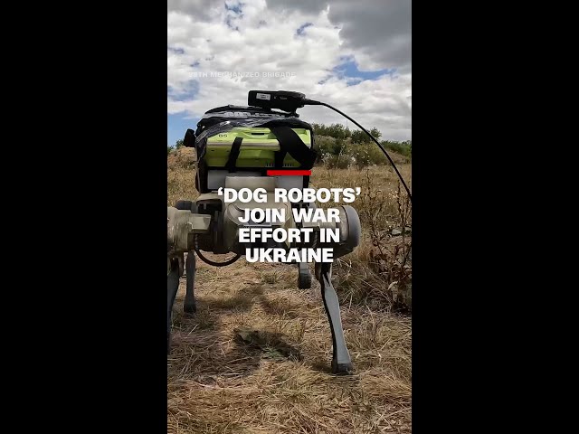 ⁣'Dog robots' help Ukrainian troops deliver weapons and first aid