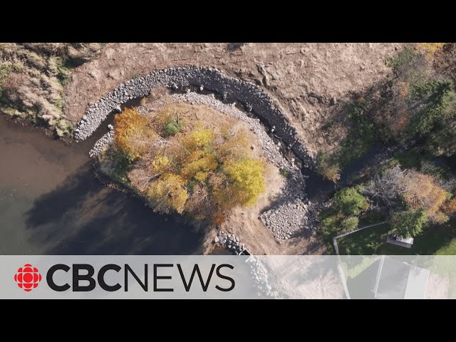 ⁣How a pond makeover in central P.E.I. could help declining fish populations rebound