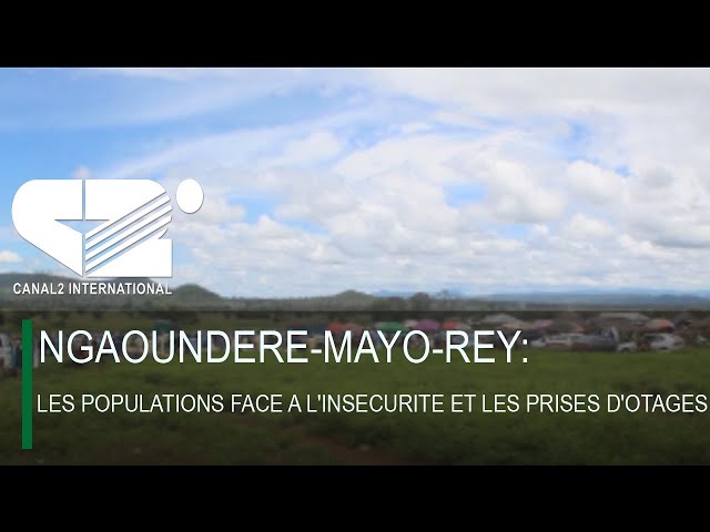 ⁣NGAOUNDERE MAYO REY : LES POPULATIONS FACE A L'INSECURITE ET LES PRISES D'OTAGES