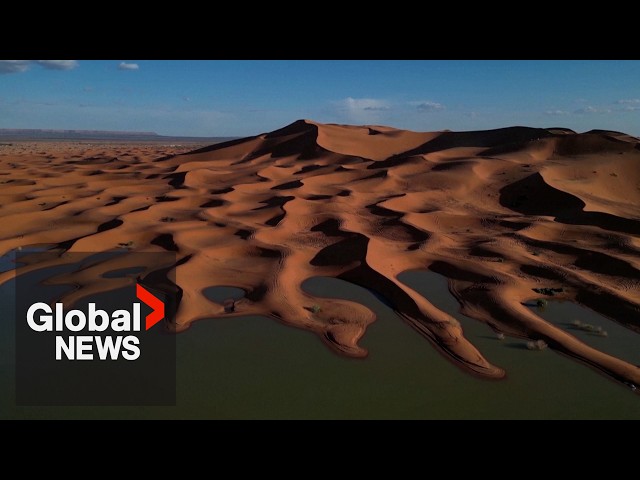 ⁣Sahara desert flood: Drone video shows palm trees, sand dunes inundated after rare rainfall