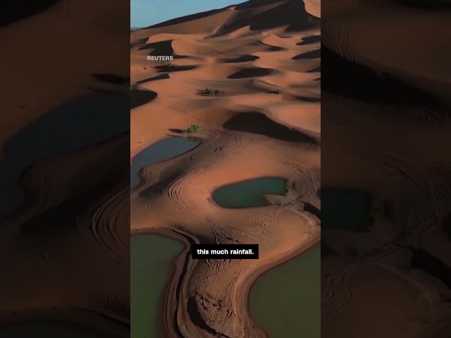 ⁣New drone footage reveals rare flooding in Sahara