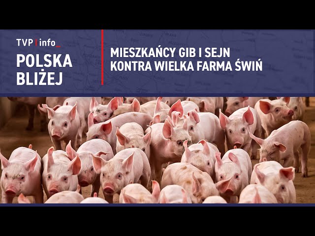 ⁣Tuczarnia świń zagrożeniem dla regionu? Mieszkańcy protestują | POLSKA BLIŻEJ