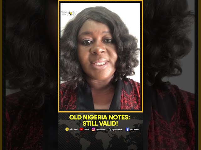 ⁣The Central Bank of Nigeria Confirms Continuation of Old Naira Notes | WION Shorts