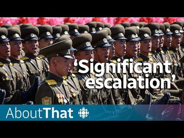 ⁣Could North and South Korea enter the Russia-Ukraine war? | About That