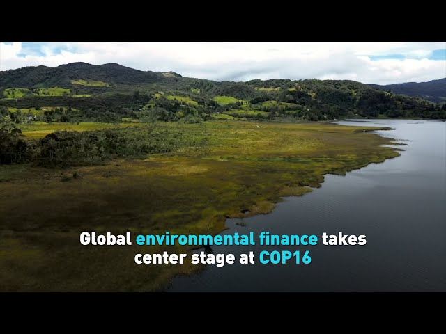 ⁣Global environmental finance takes center stage at COP16