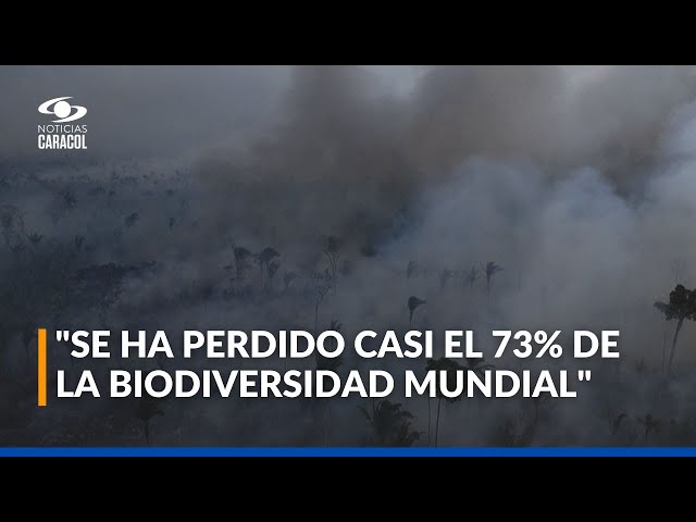 ⁣Crisis planetaria y pérdida de biodiversidad, la advertencia de investigadores y expertos