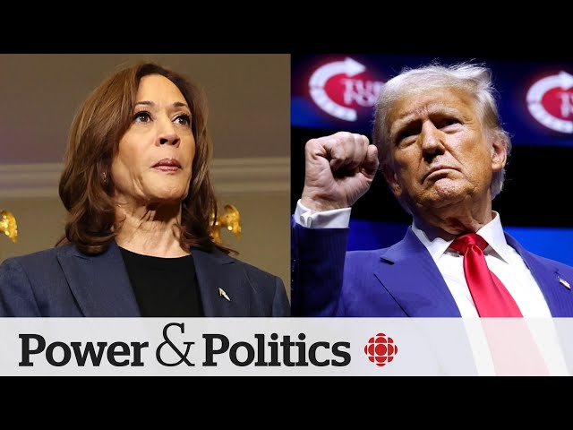 ⁣Harris and Trump tied in polls, with only days left in the campaign | Power & Politics