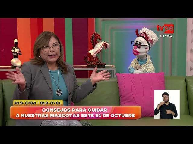 ⁣¿Debo disfrazar a mi mascota el 31 de octubre?