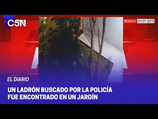 ⁣¨PIEDRA LIBRE¨ al LADRÓN: ESCAPABA de la POLICÍA y se ESCONDIÓ en un JARDÍN