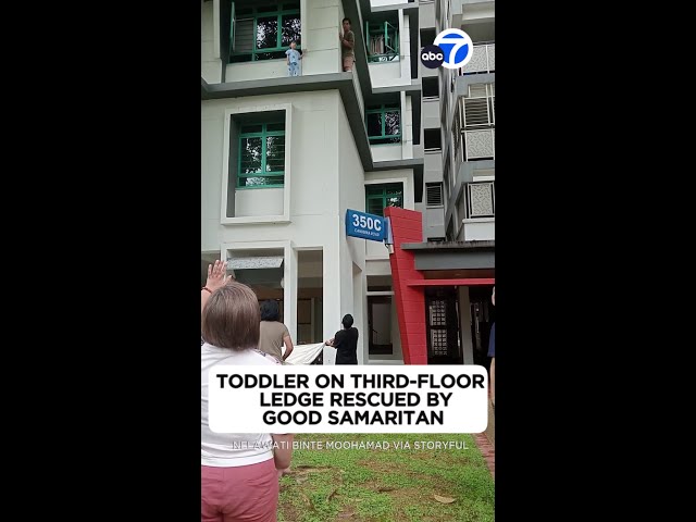 ⁣Toddler on third-floor ledge rescued by good Samaritan