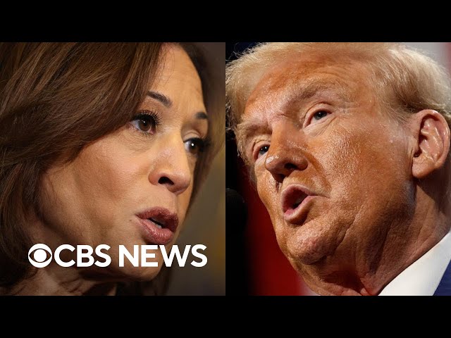 ⁣Here's why Harris, Trump are campaigning in Texas