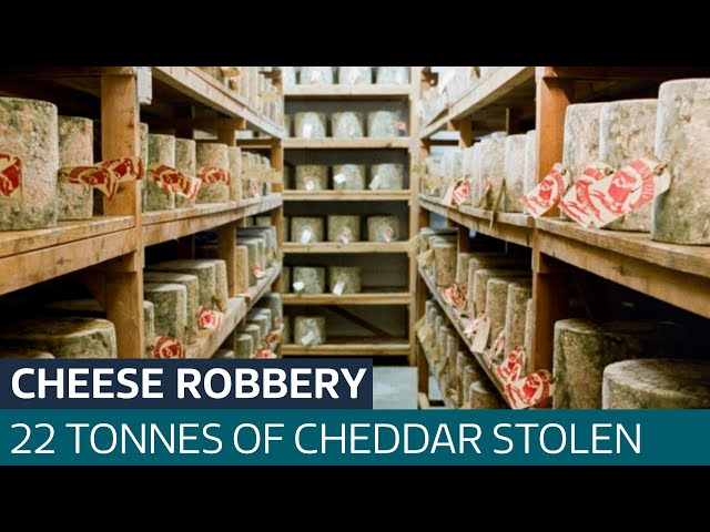 ⁣22 tonnes of high-value cheddar stolen by fraudsters in alleged scams | ITV News