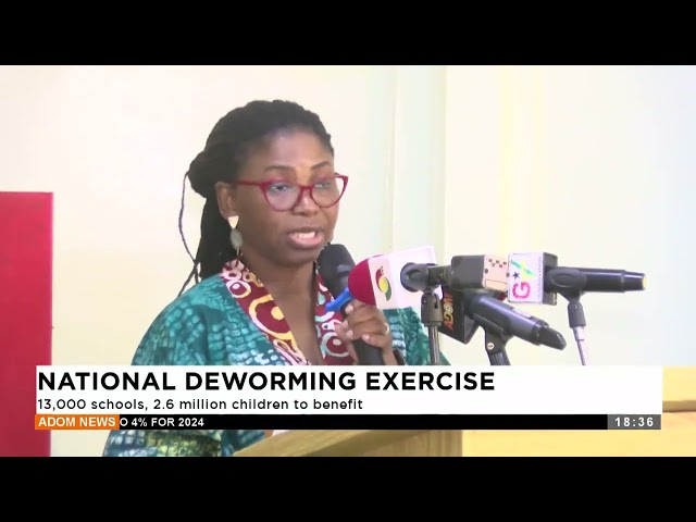 13,000 schools, 2 6 million children to benefit - Adom TV Evening News (25-10-24)