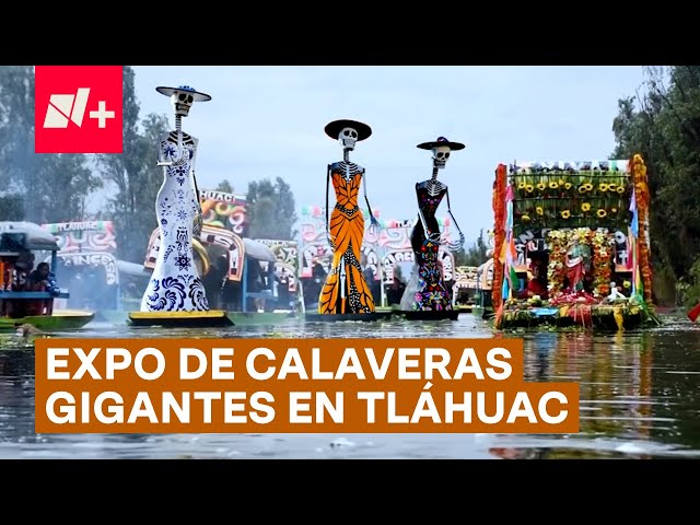 ⁣Inauguran exposición de calaveras gigantes en Tláhuac por el Día de Muertos- N+