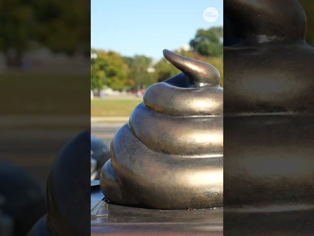 ⁣Satirical bronze 'poop' statue on display at D.C. National Mall #Shorts