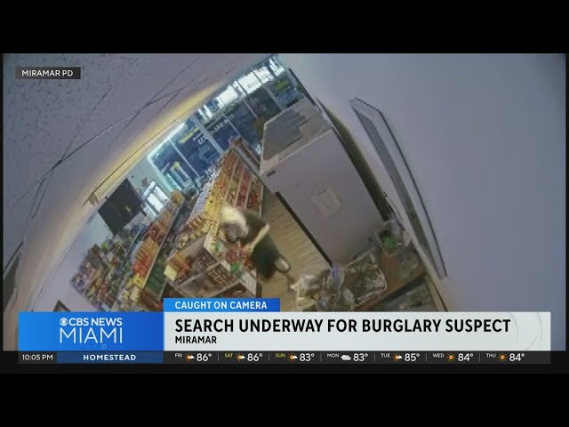 ⁣Search underway for burglary suspect in Miramar