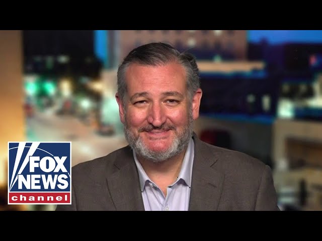 ⁣‘1-POINT RACE’: Ted Cruz facing tough re-election battle