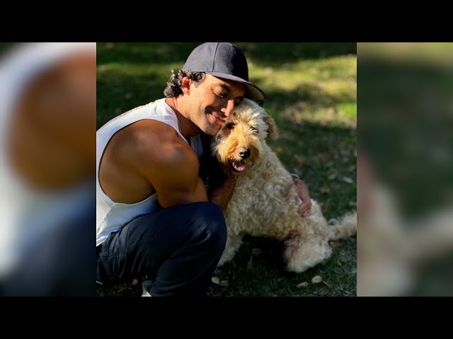 ⁣Justin Baldoni and his dog believe in the power of a wagging tail | USA TODAY