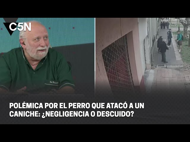 ⁣POLÉMICA por el PERRO que ATACÓ a un CANICHE: ¿NEGLIGENCIA O DESCUIDO?