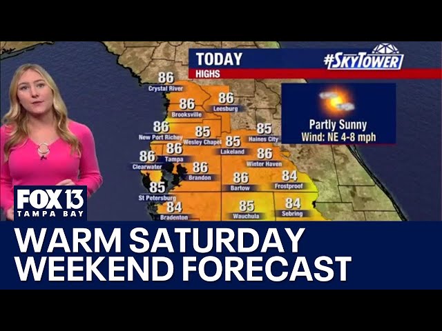 ⁣Tampa weather: Warm, sunny Saturday