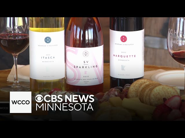 ⁣Locally-owned vineyard in Minnesota celebrates 10 years