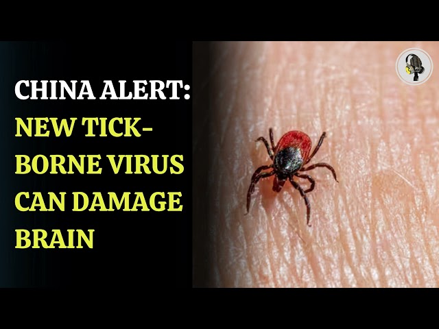 ⁣A New Tick-Borne Virus from China Poses a Serious Health Threat | WION Podcast