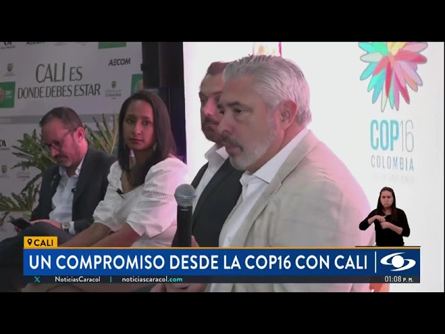 ⁣¿Cómo compensará Cali la huella de carbono tras la COP16?